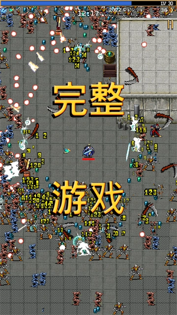 吸血鬼幸存者安卓版图4