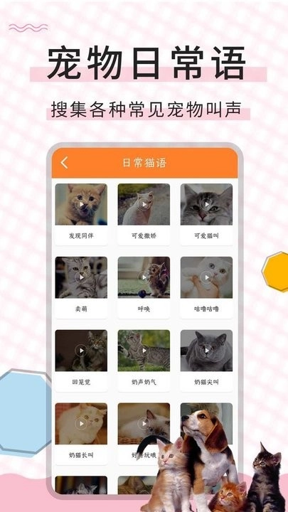 猫语翻译宝图3