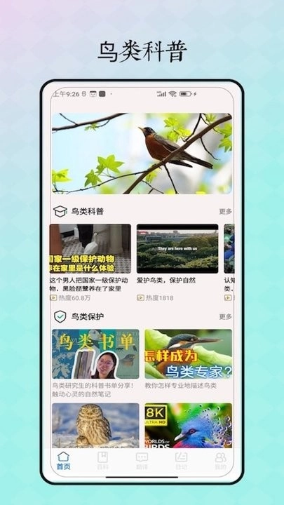 鸟语翻译器免费版