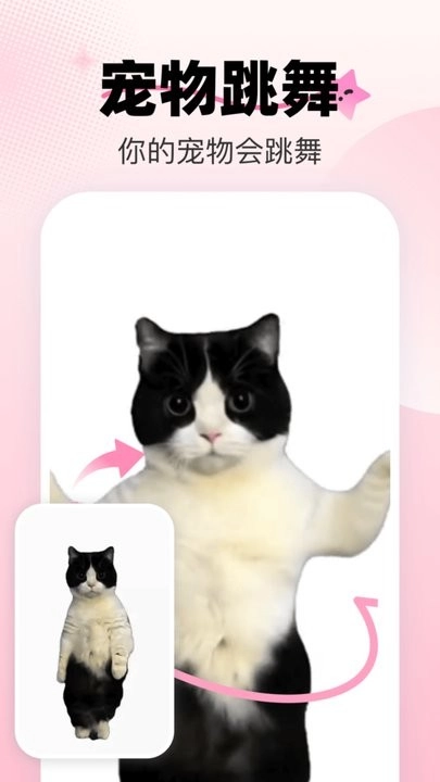 爱卡点免费版图3