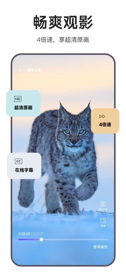 迅雷浏览器手机版