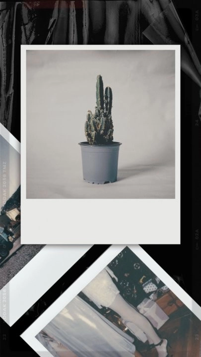 lastroll复古胶片相机安卓直装版图3