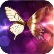 夜蝶直播直装版