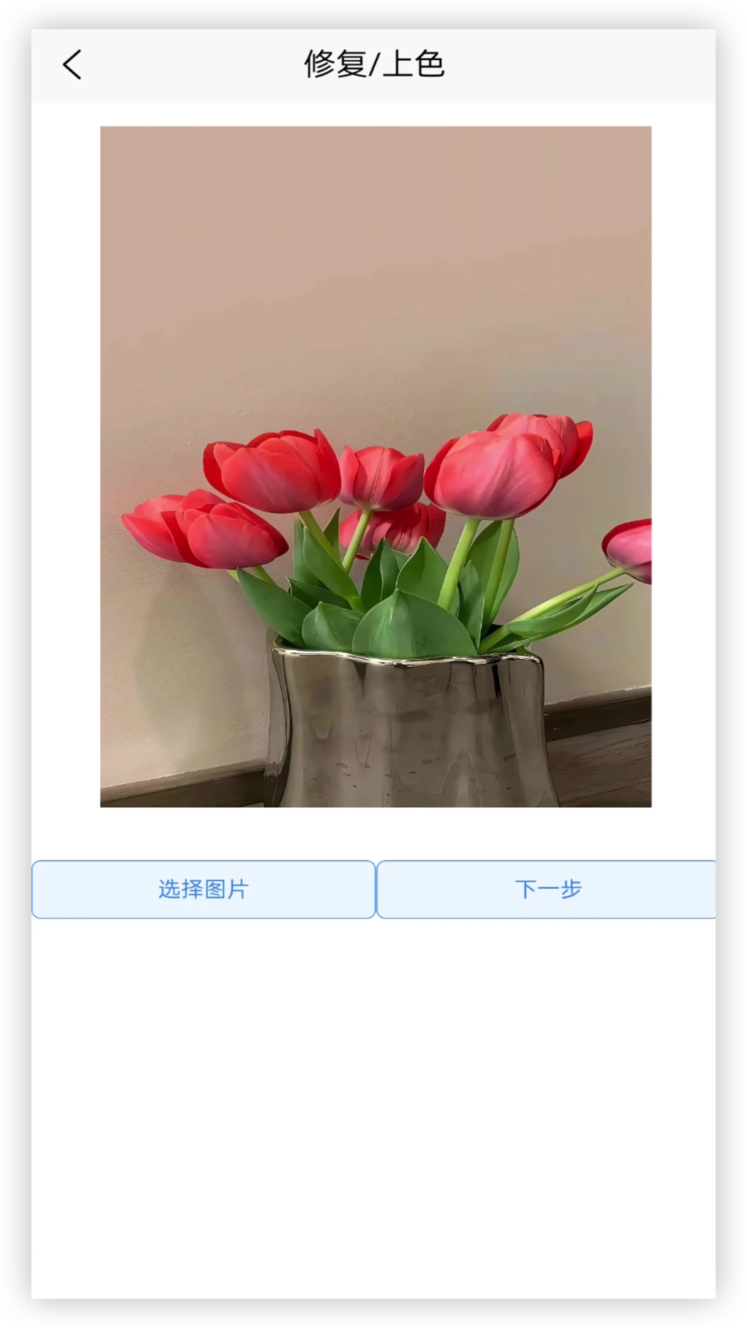 年龄相机官方最新版