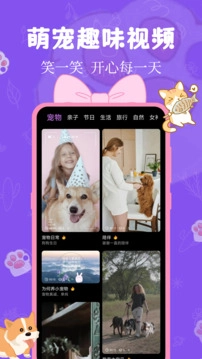 猫狗翻译器手机版-图3