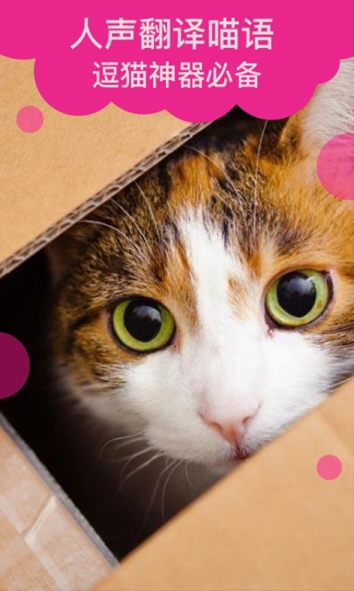 猫语翻译安卓版图3
