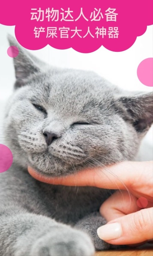 猫语翻译安卓版图1