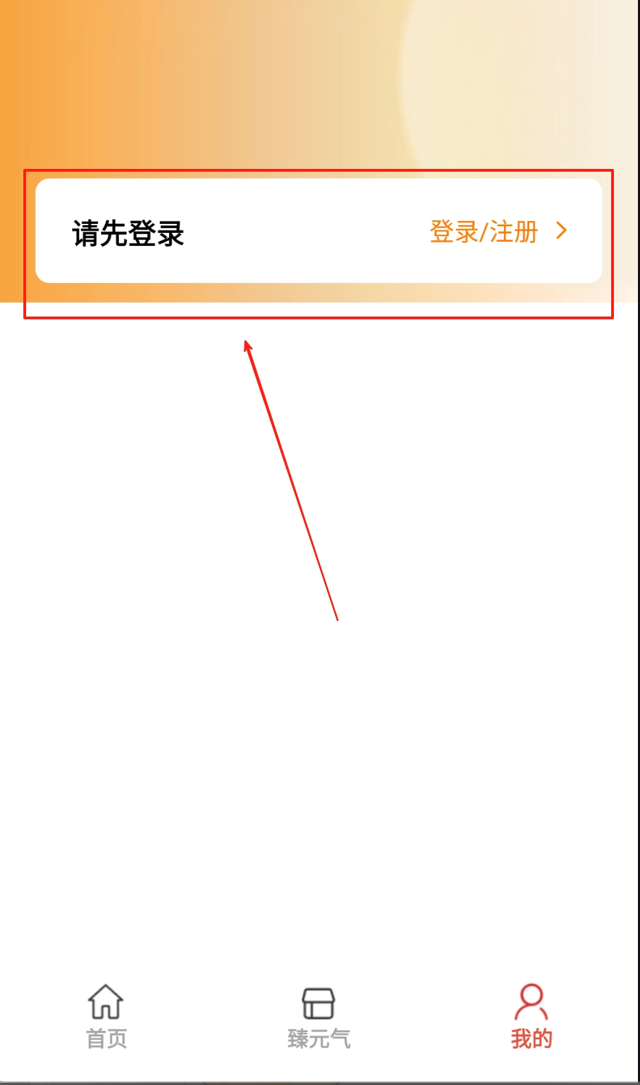 臻元气安装包下载