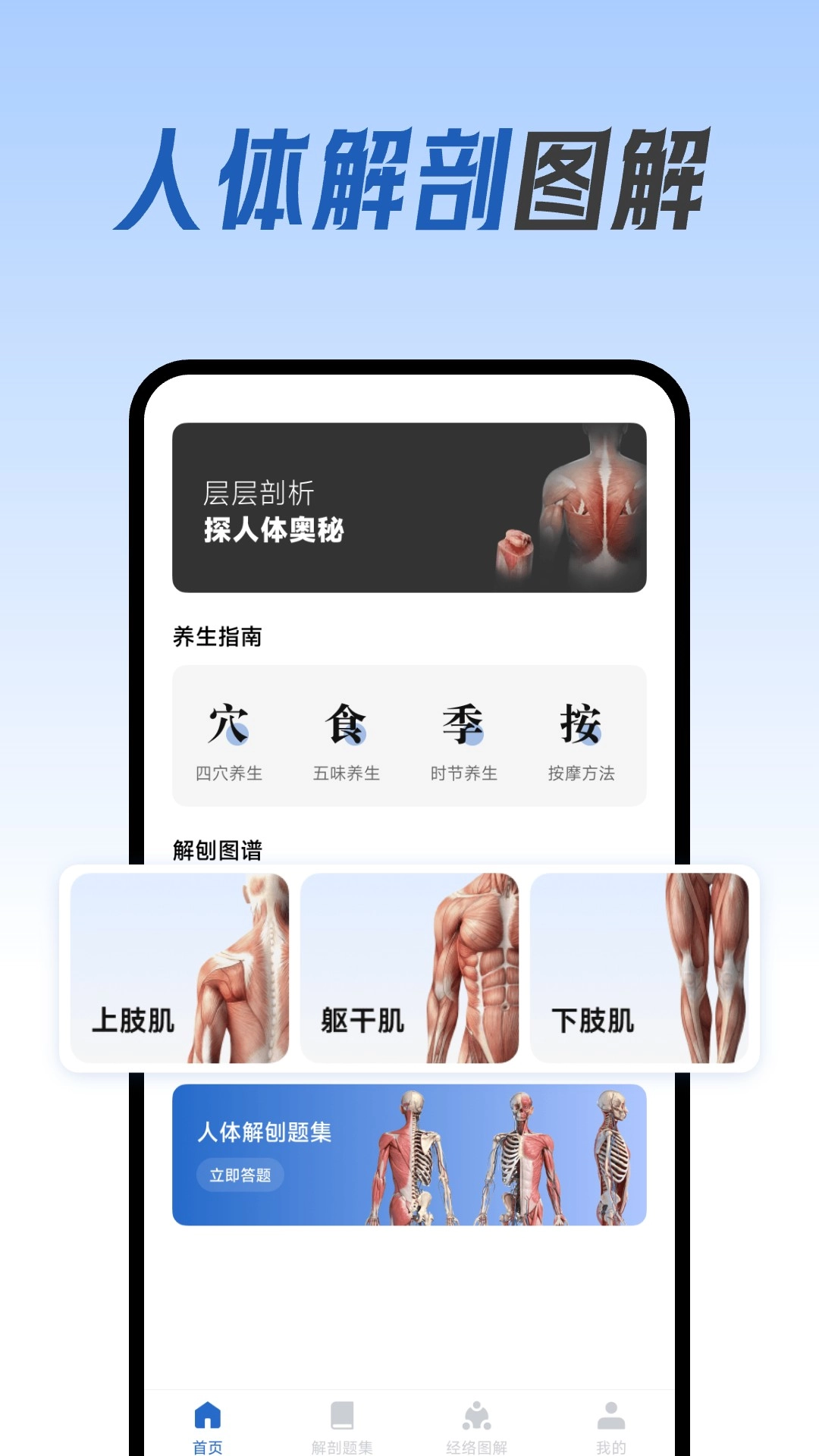 人体解剖图集手机版