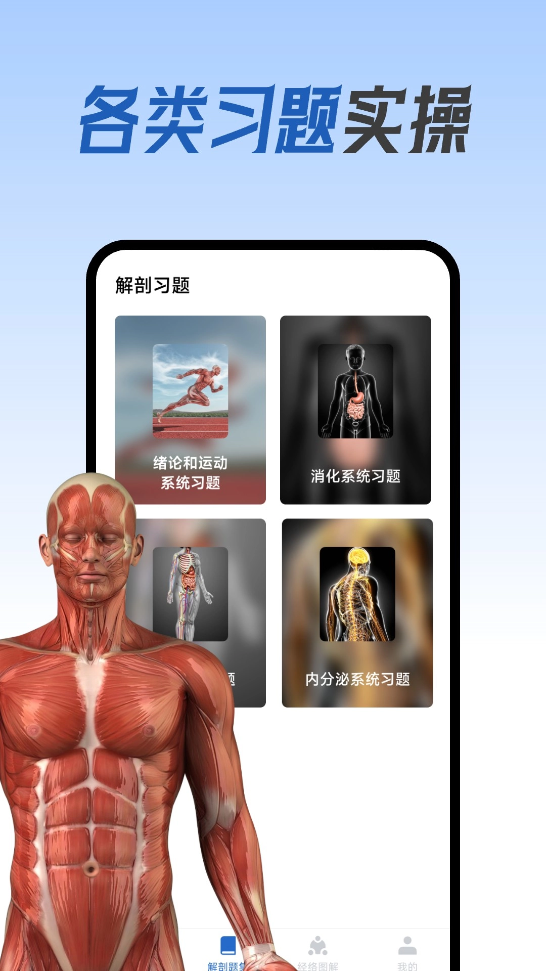 人体解剖图集手机版