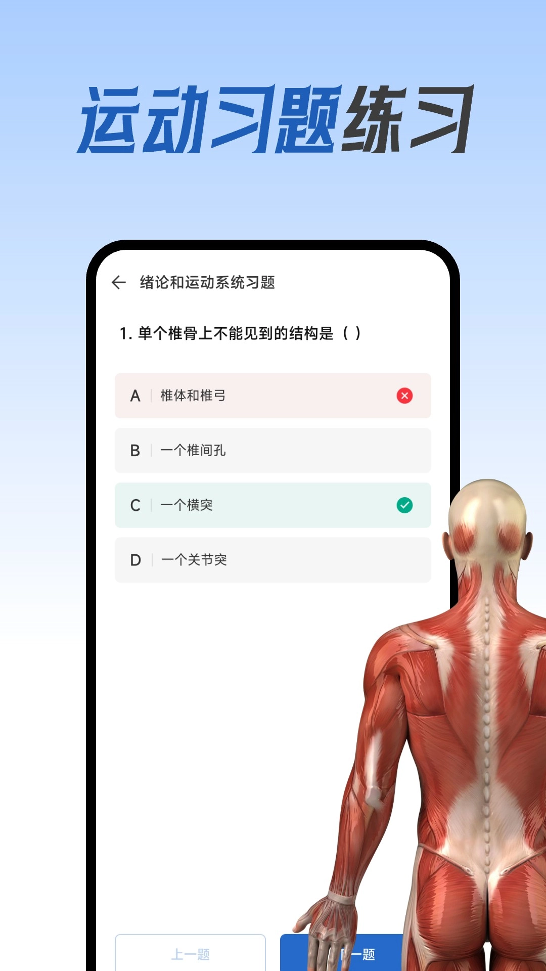 人体解剖图集手机版