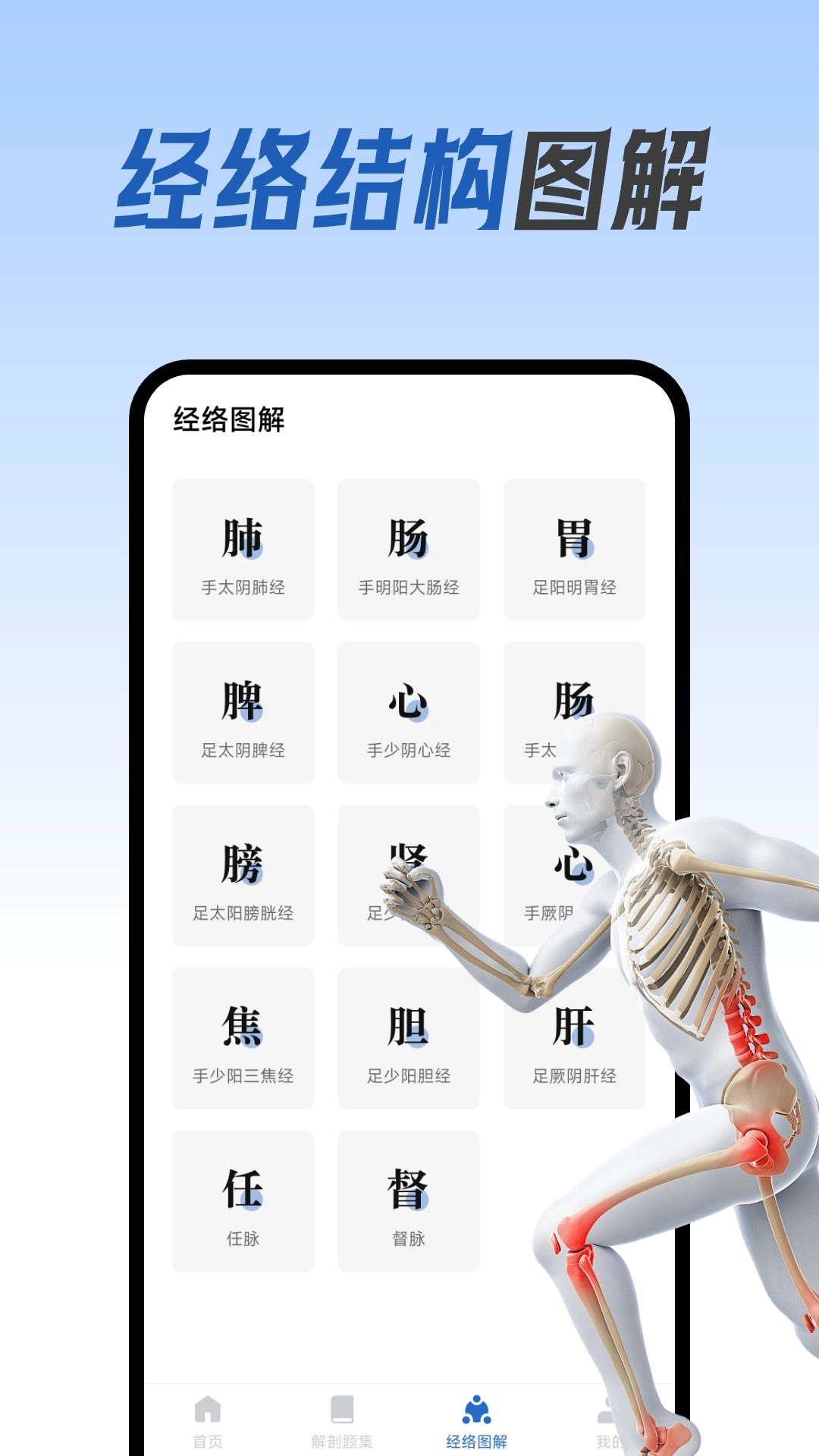 人体解剖图集手机版
