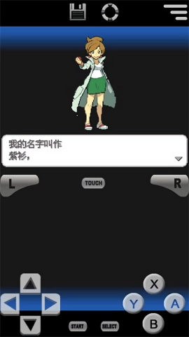 口袋妖怪黑白2中文版-图1