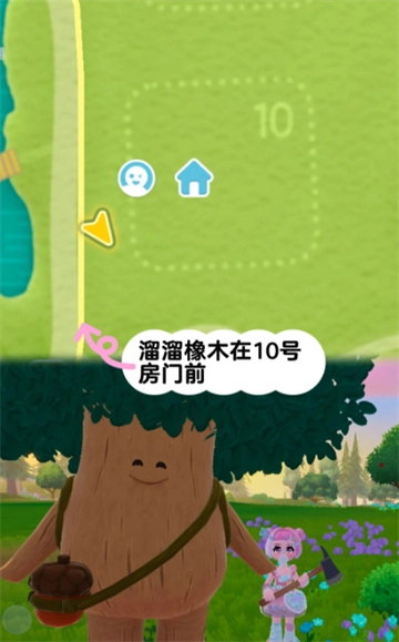 12月9日心动小镇中溜溜橡木和无暇荧石的采集位置说明