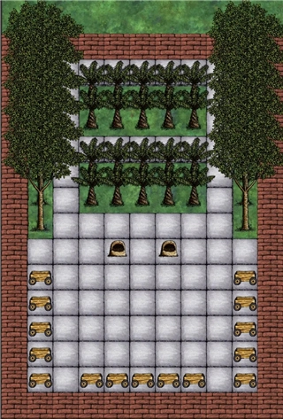 一小时人生正版(1)