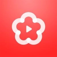 梅花视频免费版