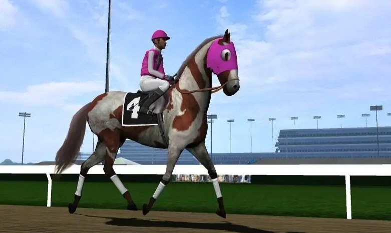 赛马赢得杯赛挑战