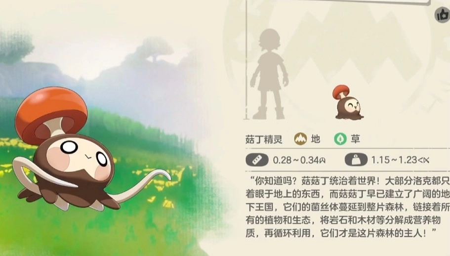 洛克王国菇菇丁进化指南