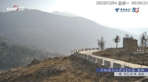 鲨鱼TV一站式平台图1