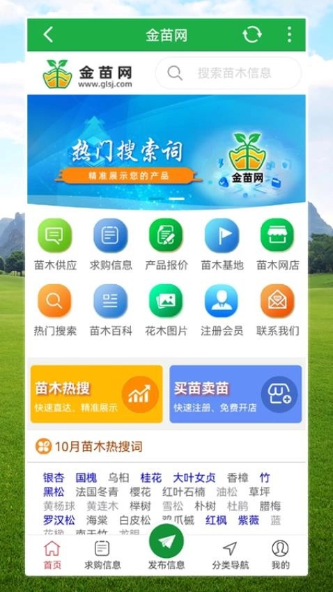 金苗网截图1
