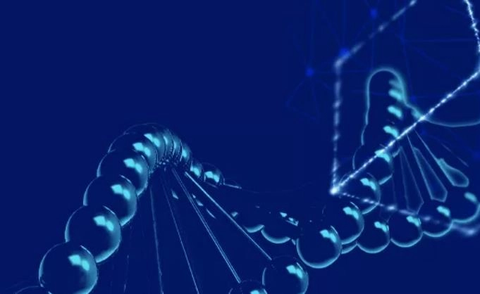 技术降本与IP协同双轮驱动，数码视讯完美星空携AI漫剧进军200亿增量赛道