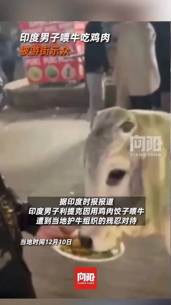 印度一男子因喂牛吃鸡肉被殴打，还被拖至街头示众游街
