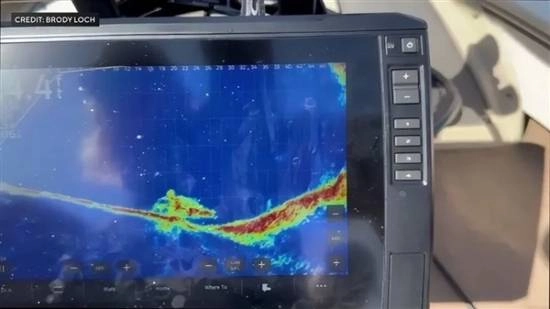 钓鱼爱好者钓起一辆汽车，车内竟有人，意外破获了一桩长达58年的失踪悬案