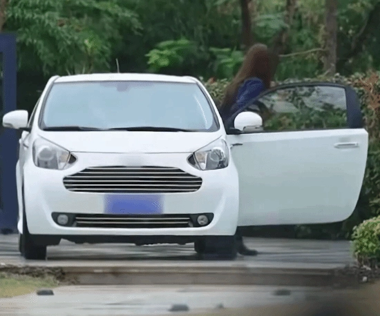 经纪人透露痞幼在恋综里开的并非老头乐，而是租来的豪车阿斯顿・马丁“小天鹅”