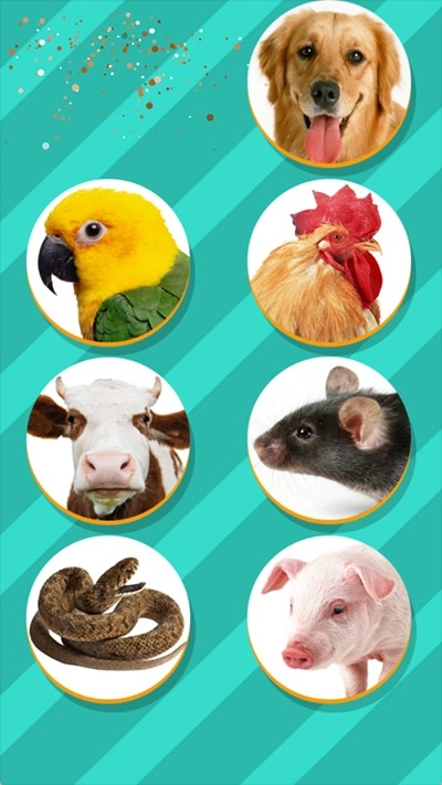 宠物对话翻译器免费版