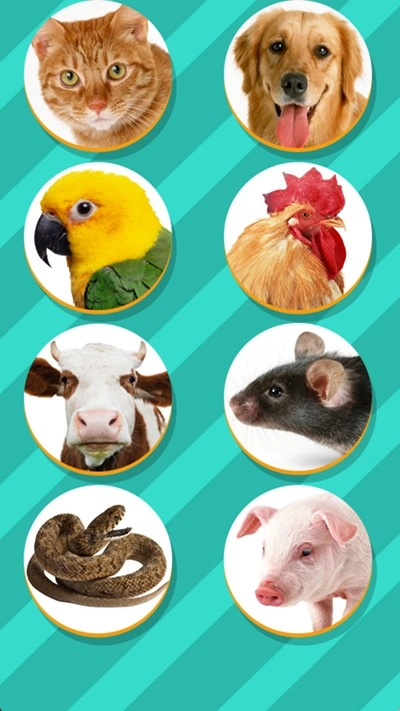 宠物对话翻译器正版图3