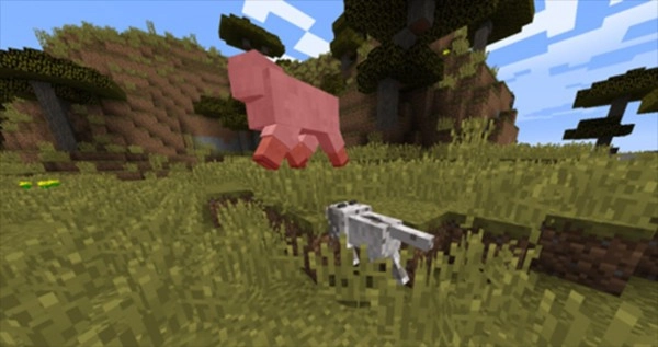 我的世界烦人的村民版(1)