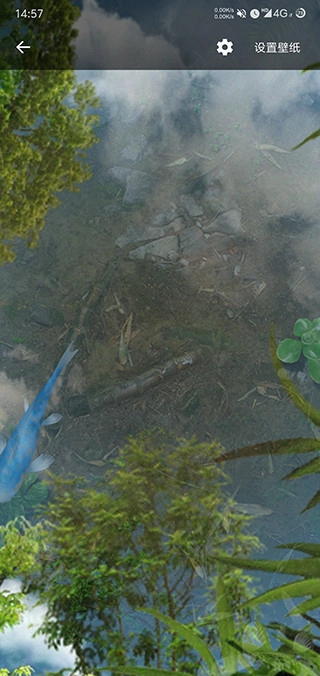 鱼池动态壁纸(3)