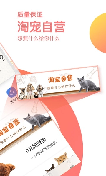 淘宠网手机版图2