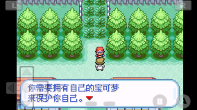 口袋妖怪火红最新免费版图3