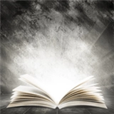 糖果小说无限书币