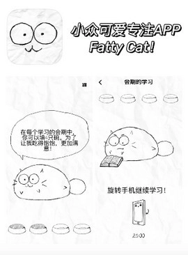 fatty cat图2