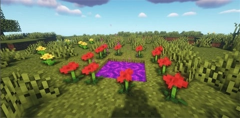 我的世界暮色森林(3)