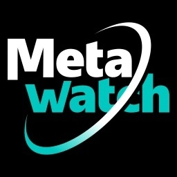 Metawatch安装