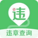 违章查询手机版