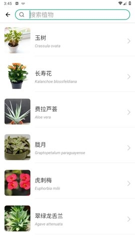 PictureThis解锁高级版图3