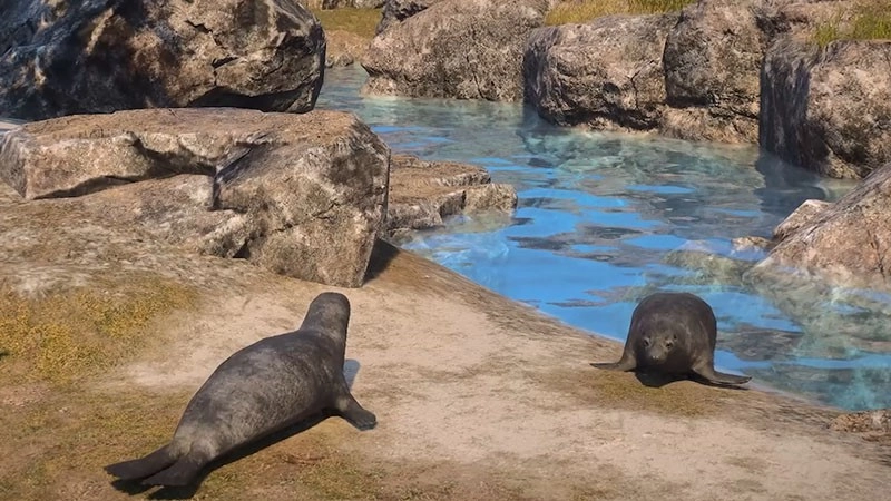 颂钟长鸣版本大型更新内容前瞻：哈尔玛尔群岛迎来全新生物