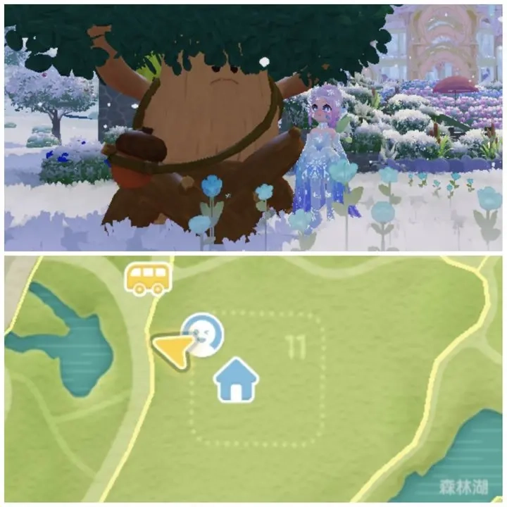 12月18日心动小镇溜溜橡木与无暇荧石的具体位置