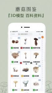 菌窝子图3