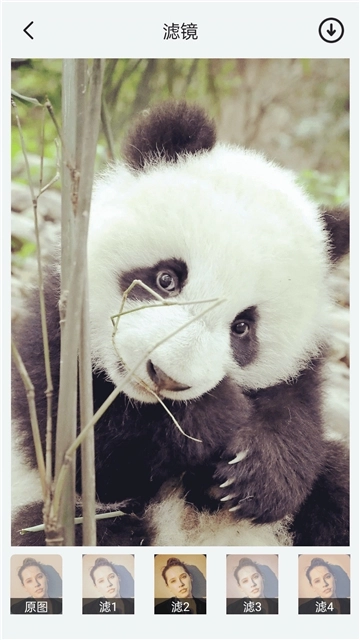 神奇相机官方正版