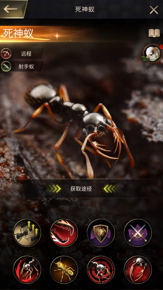 小小蚁国特化蚁实力排名细数顶尖特化蚁前三甲