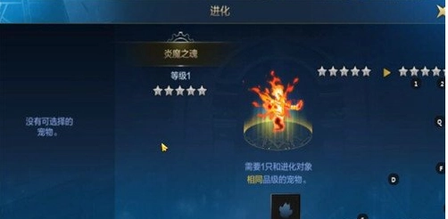 DNF手游宠物进化的操作步骤地下城与勇士手游里宠物进化的具体方法