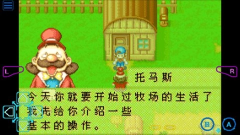 牧场物语矿石镇的伙伴们图4