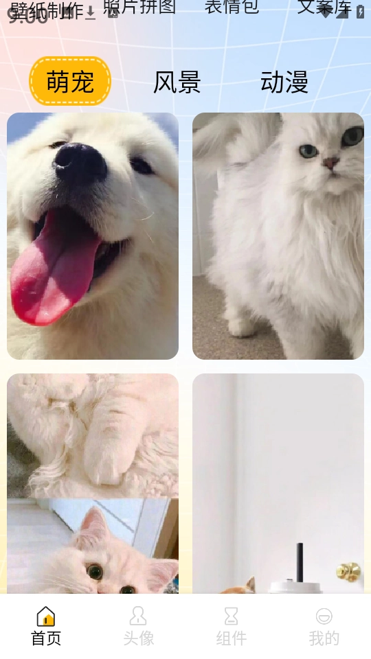 遇榶壁纸最新版