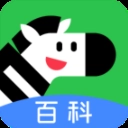 斑马百科安装