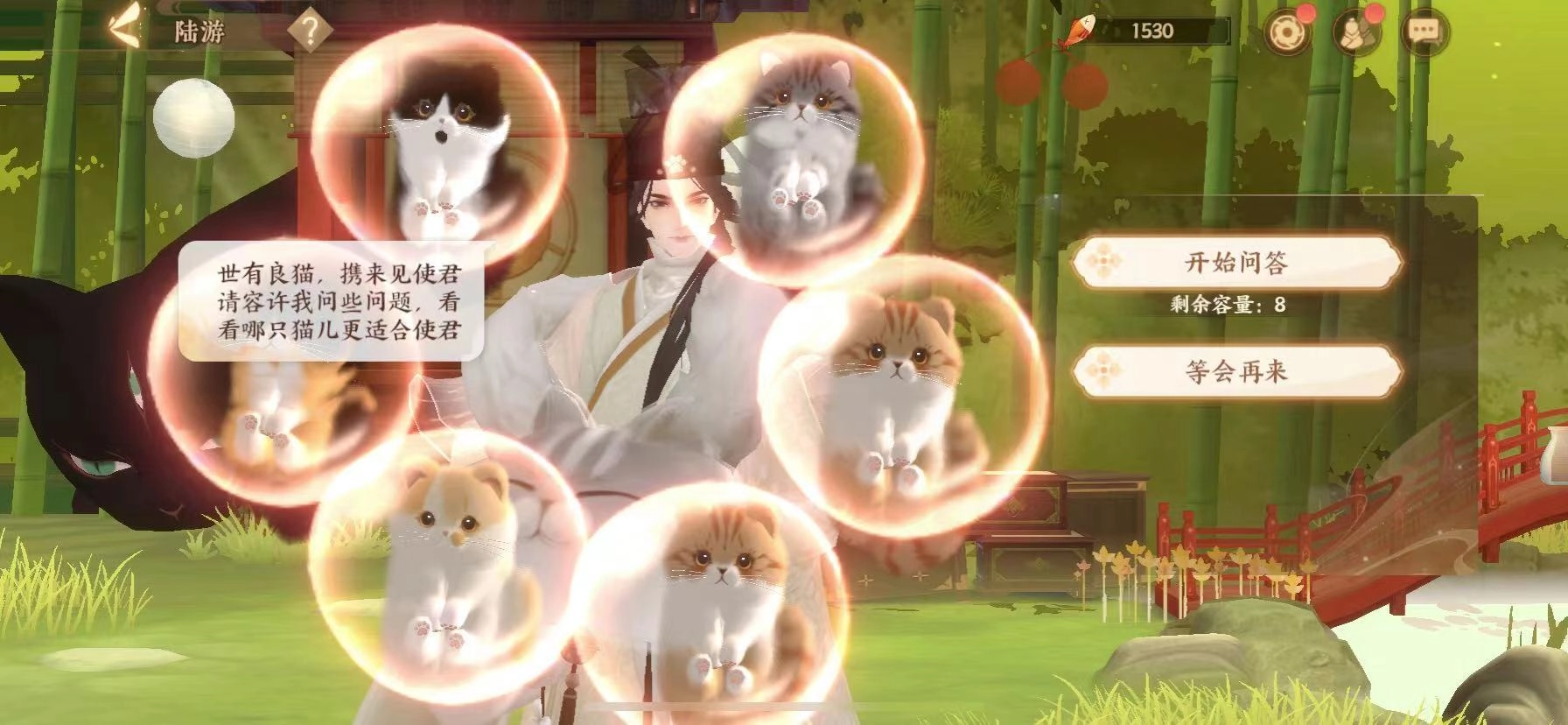 忘川风华录布偶猫获取途径有哪些布偶猫的获取方式